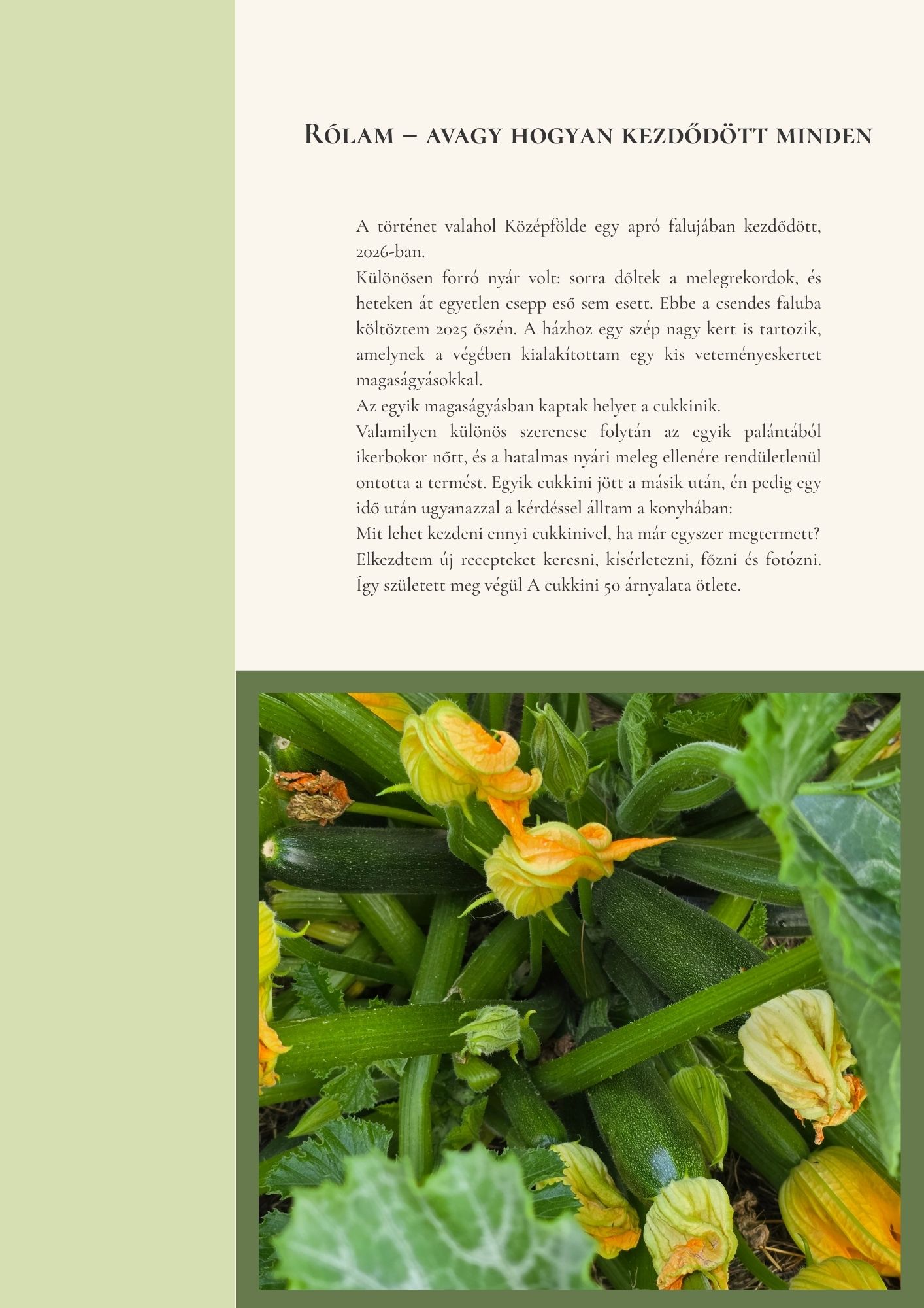 Kezdetek – részlet A cukkini 50 árnyalata című könyvből
